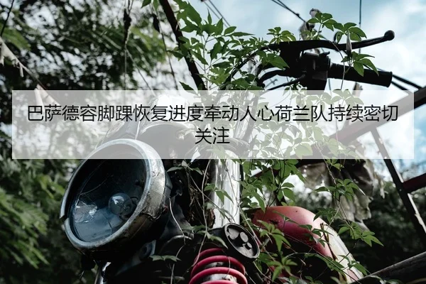 巴萨德容脚踝恢复进度牵动人心荷兰队持续密切关注